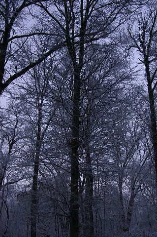 dsc_0011.jpg