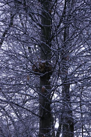 dsc_0013.jpg