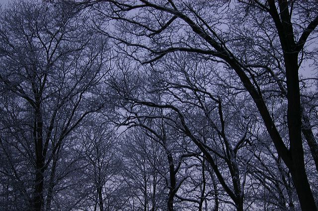 dsc_0014.jpg