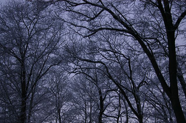 dsc_0015.jpg