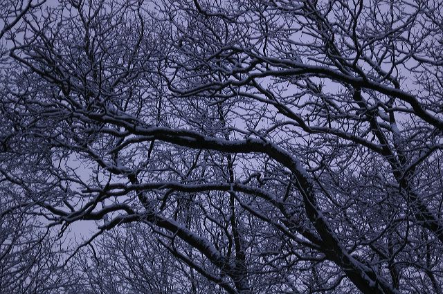 dsc_0016.jpg