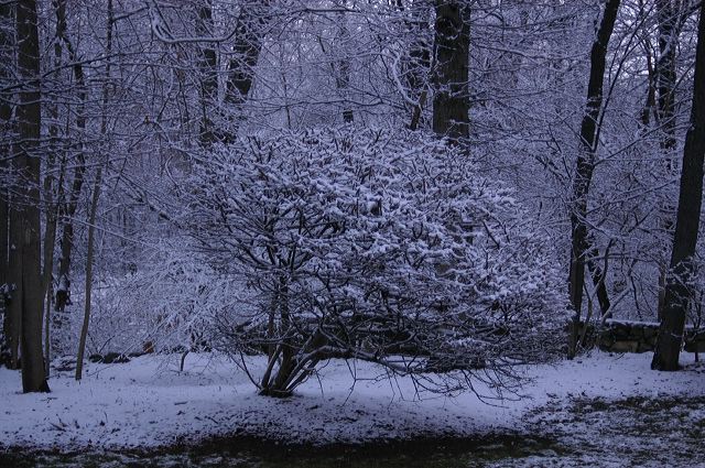 dsc_0017.jpg