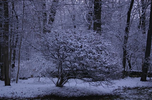 dsc_0018.jpg