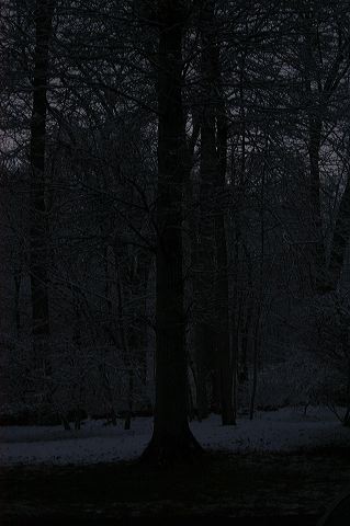 dsc_0019.jpg