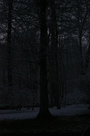 dsc_0020.jpg