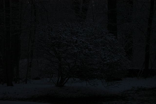 dsc_0021.jpg