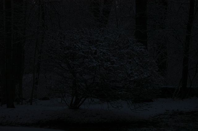 dsc_0022.jpg