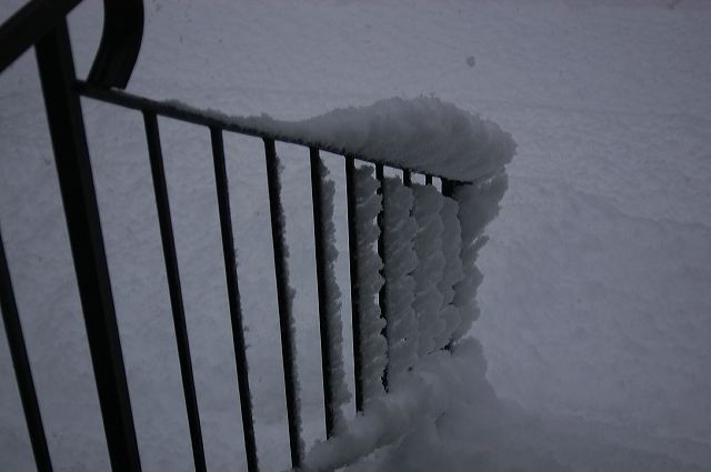 dsc_0023.jpg