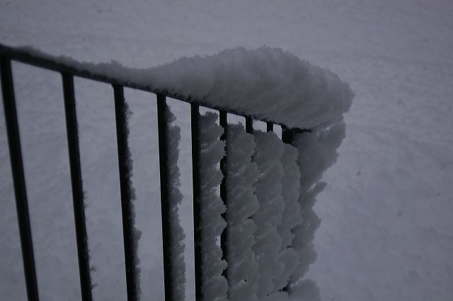 dsc_0024.jpg