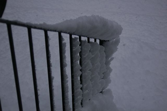 dsc_0025.jpg
