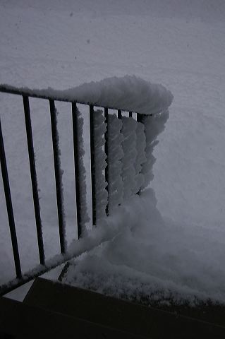dsc_0026.jpg