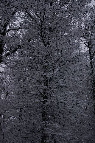 dsc_0027.jpg