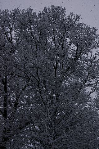 dsc_0031.jpg