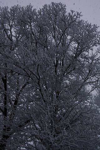 dsc_0032.jpg