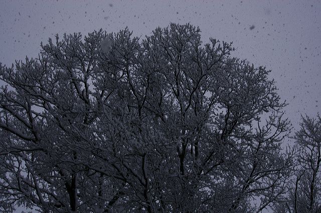 dsc_0033.jpg