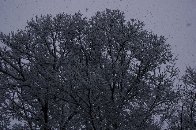 dsc_0034.jpg