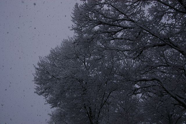 dsc_0039.jpg