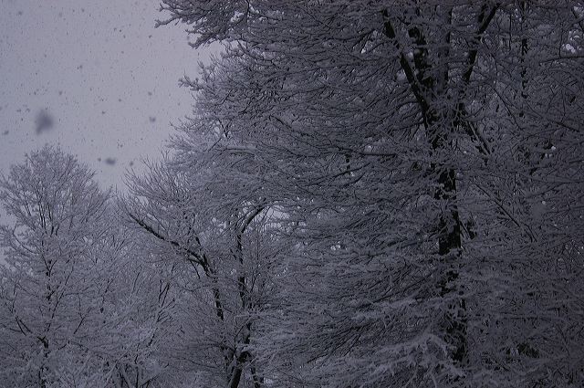 dsc_0042.jpg
