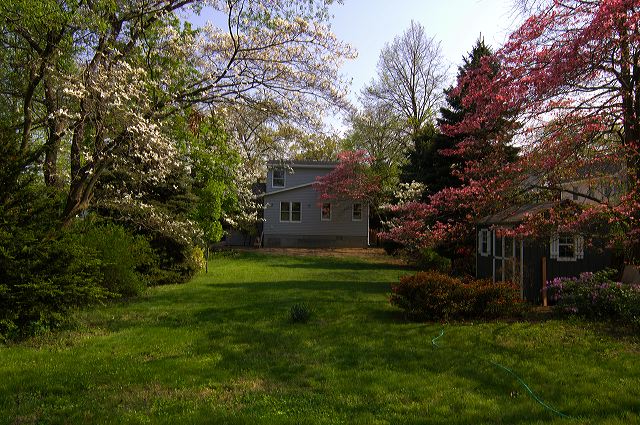 dsc_0012.jpg