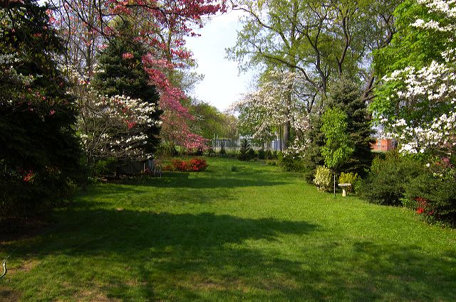 dsc_0013.jpg