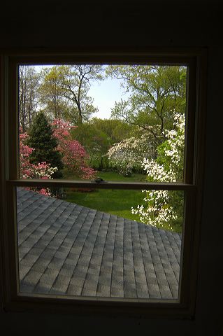 dsc_0034.jpg