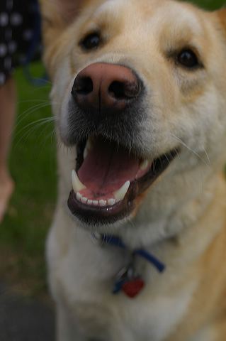 dsc_0017.jpg