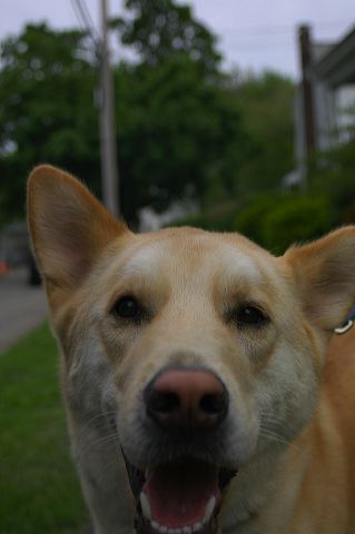 dsc_0023.jpg