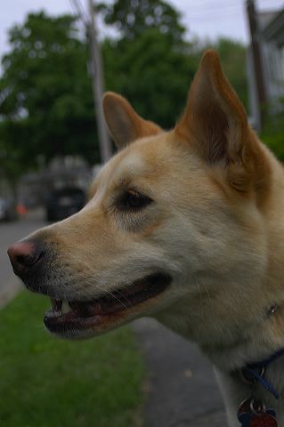 dsc_0025.jpg
