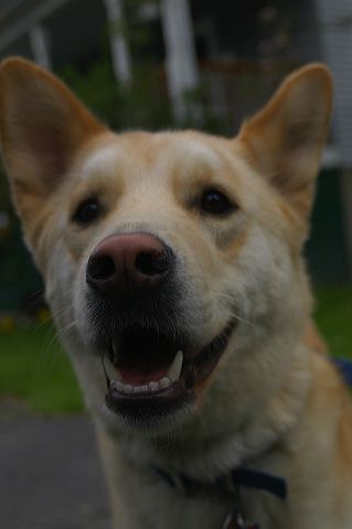 dsc_0027.jpg