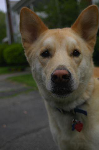dsc_0029.jpg