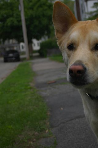 dsc_0031.jpg