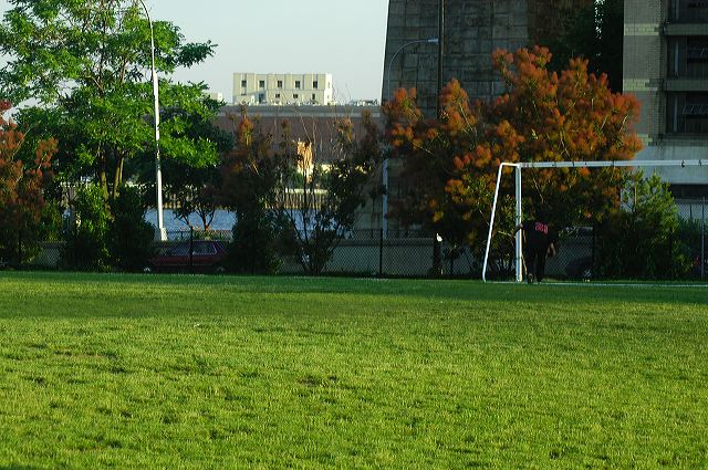 dsc_0392.jpg