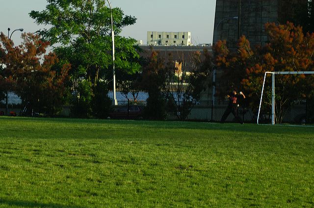 dsc_0393.jpg