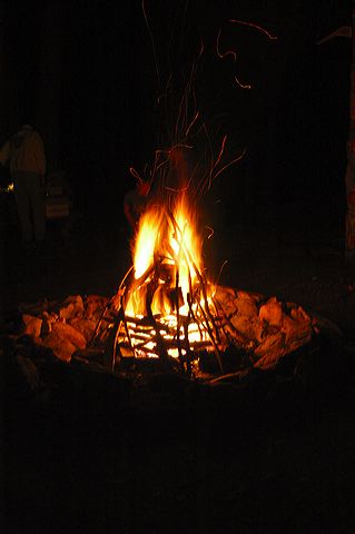 dsc_1373.jpg