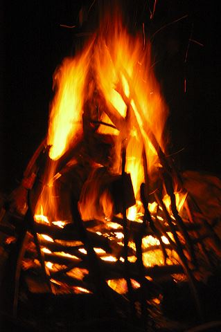 dsc_1374.jpg