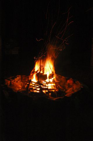 dsc_1375.jpg