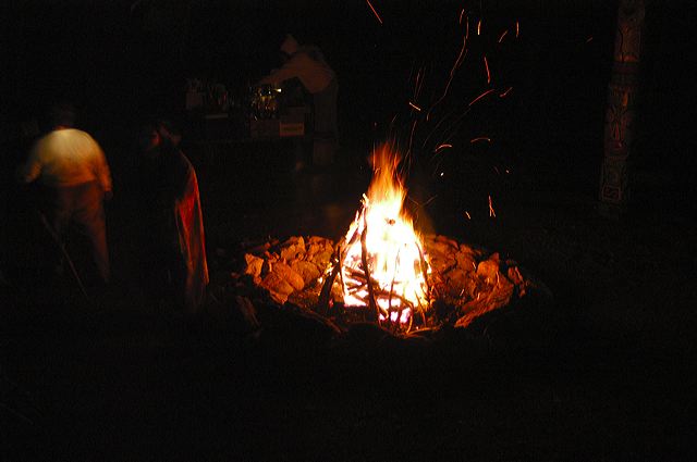dsc_1384.jpg