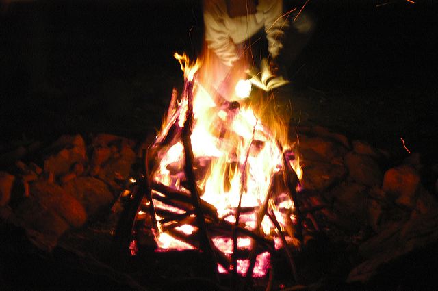dsc_1385.jpg