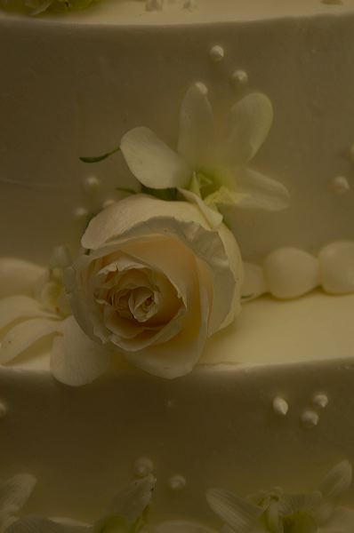 dsc_1657.jpg