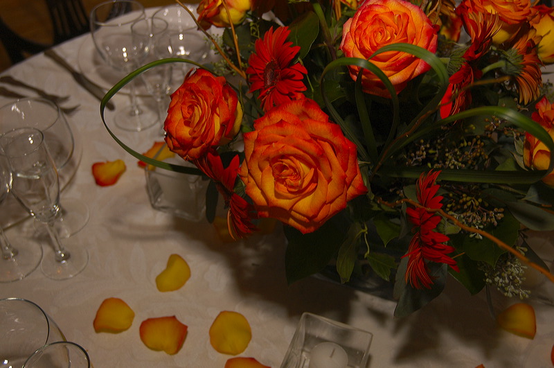 dsc_1695.jpg