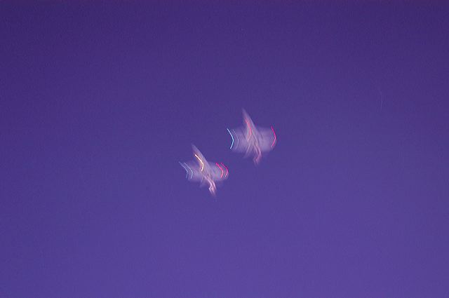 dsc_1898.jpg