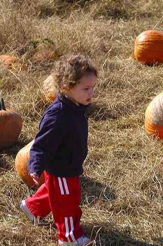 dsc_2457.jpg