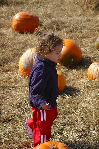 dsc_2458.jpg