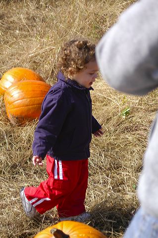 dsc_2460.jpg
