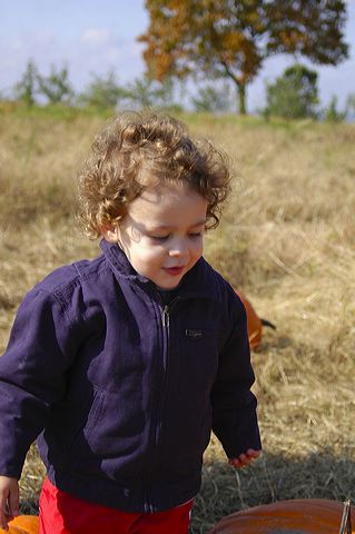 dsc_2466.jpg