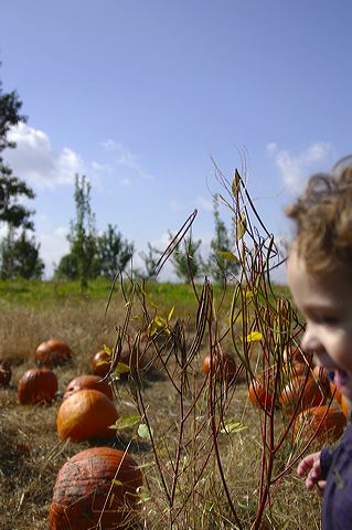 dsc_2467.jpg