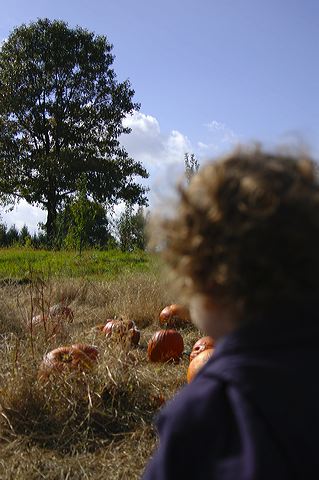 dsc_2468.jpg