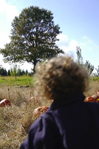 dsc_2469.jpg
