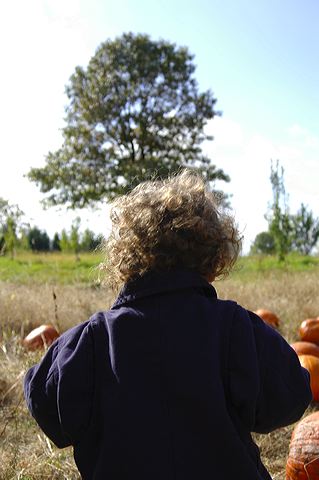 dsc_2470.jpg