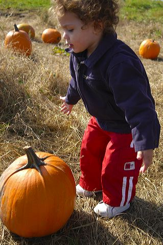 dsc_2483.jpg